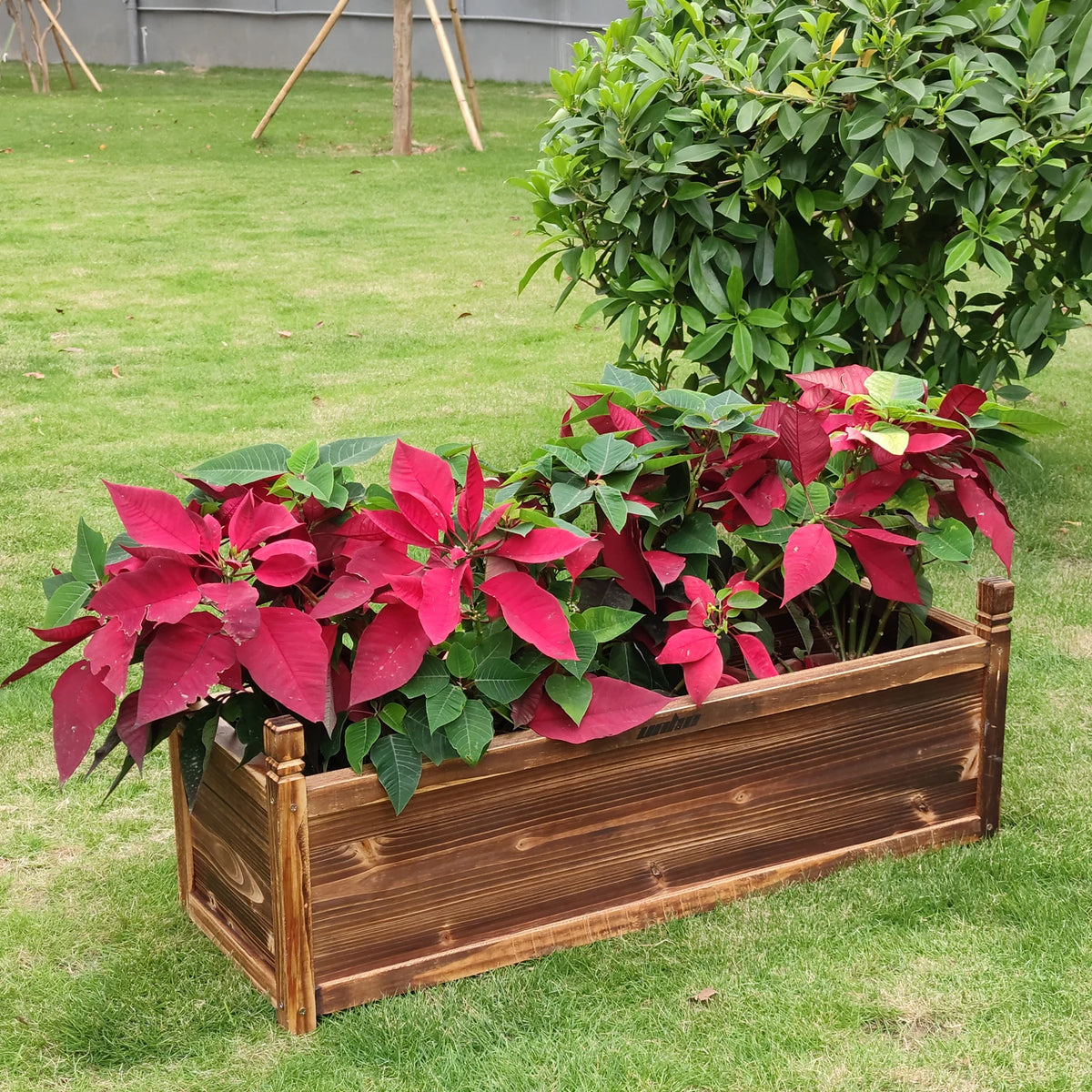Window Mounted Wooden Raised Planter For Outdoor Gardening