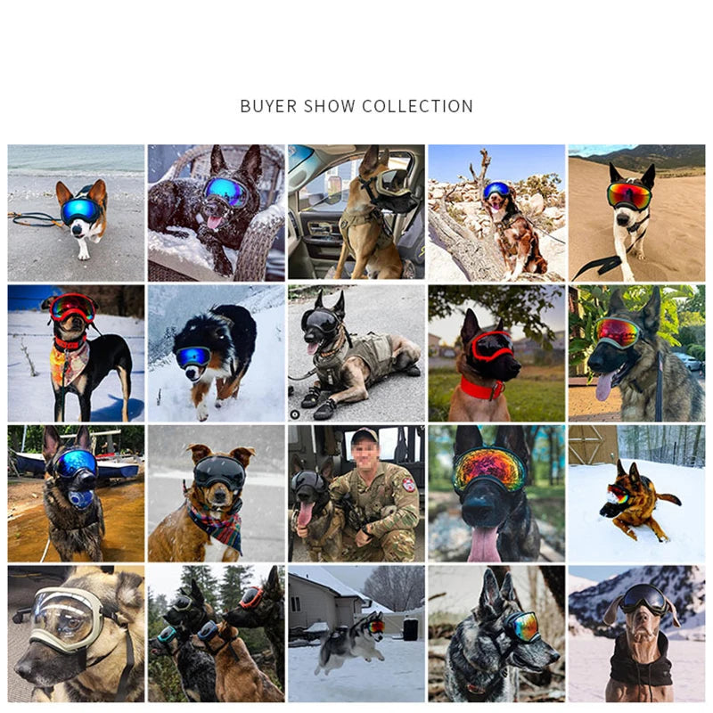 PETRAVEL Dog Goggles UV Protection Adjustable Windproof Eyewear