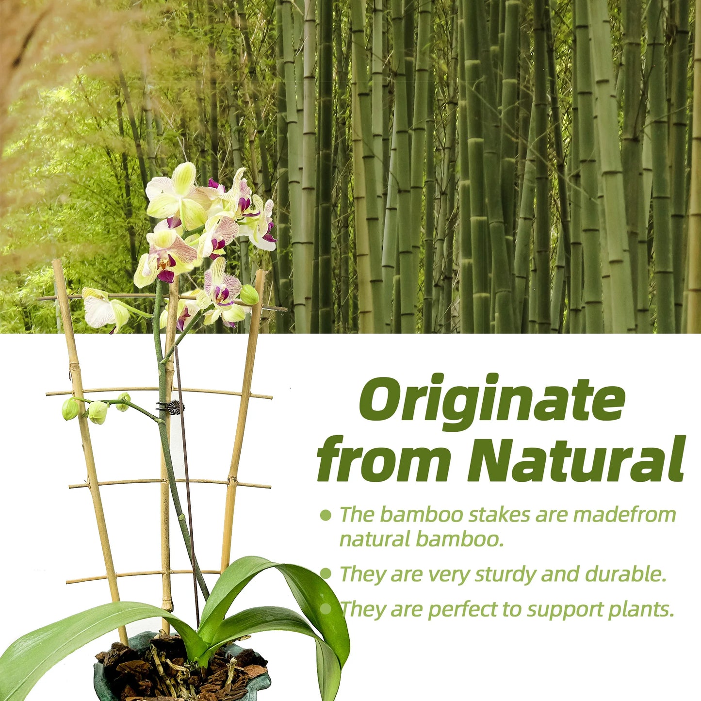 Bamboo Trellis for Climbing Plants Natural Garden Plant Support