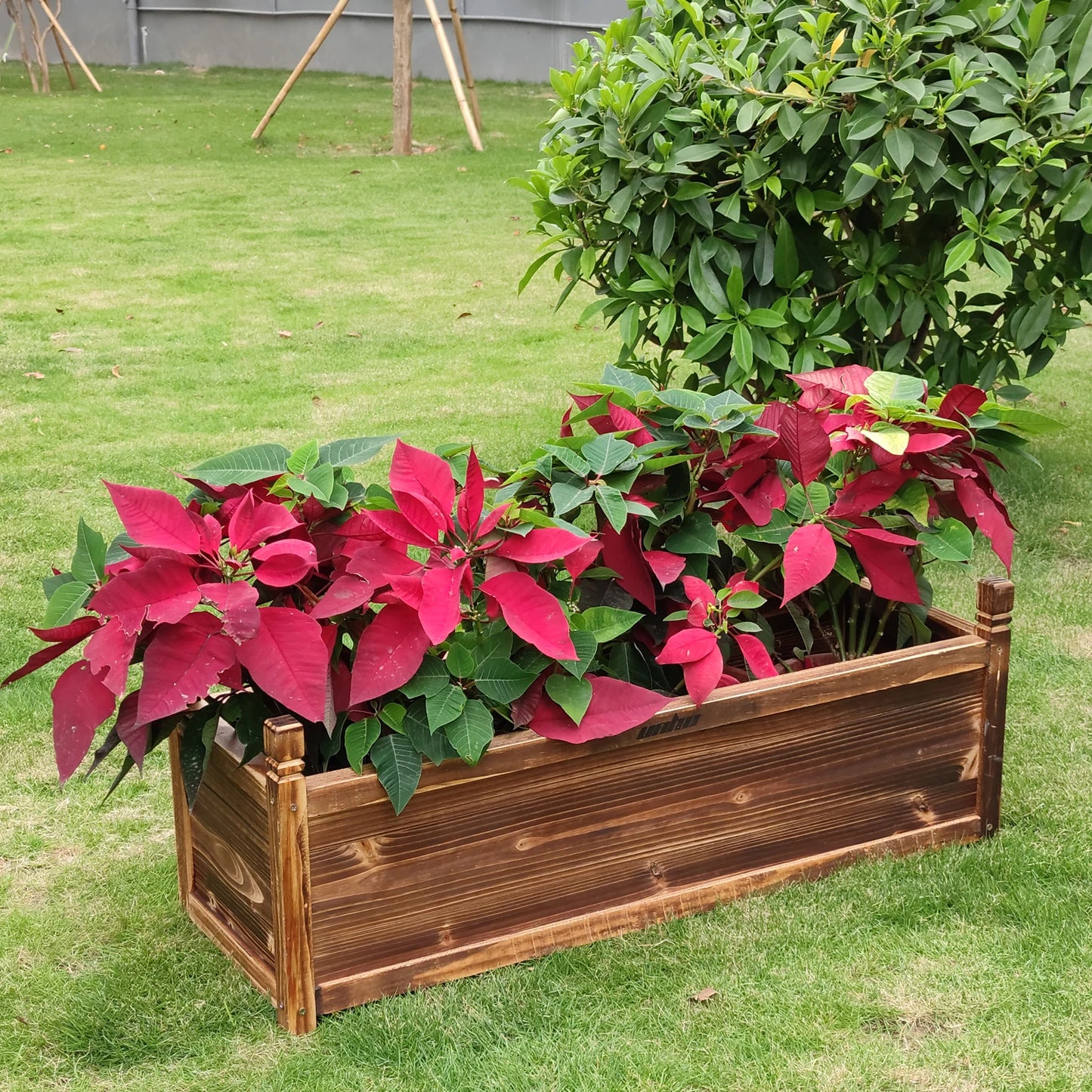 Wooden Raised Garden Bed Planter For Window Mounted Outdoor Use