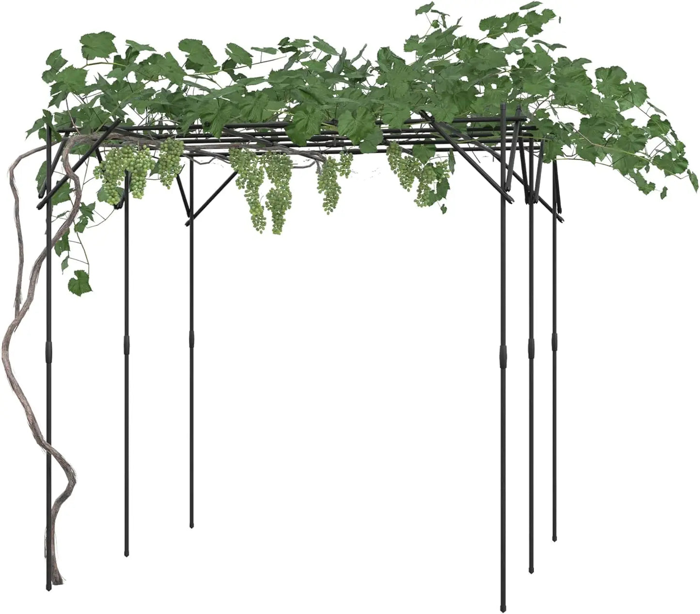 Metal Garden Trellis For Climbing Plants Arches And Pergolas