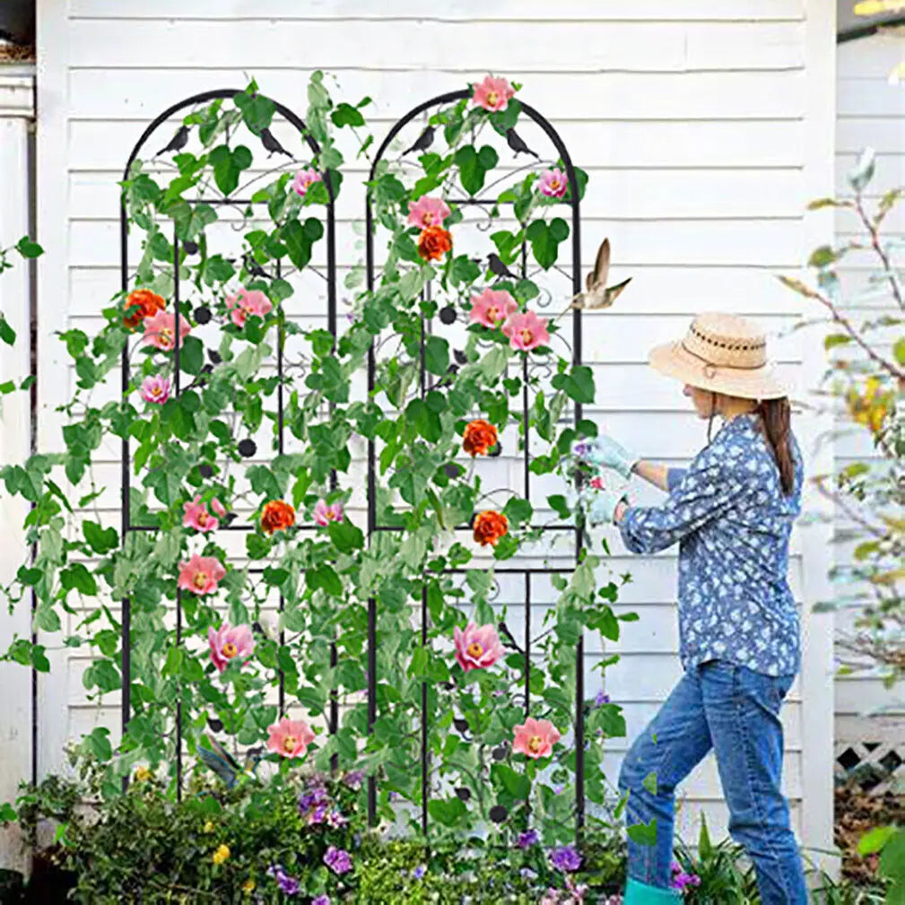 Heavy Duty Metal Garden Trellis For Climbing Plant Support