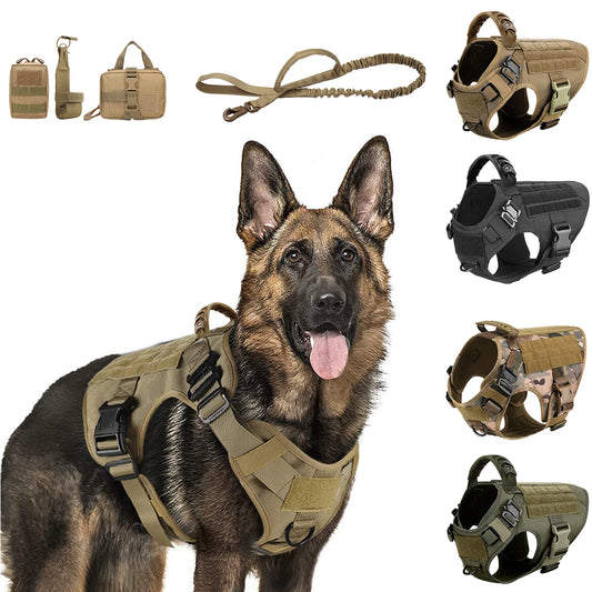 PETRAVEL CN Dog Harness And Leash Set