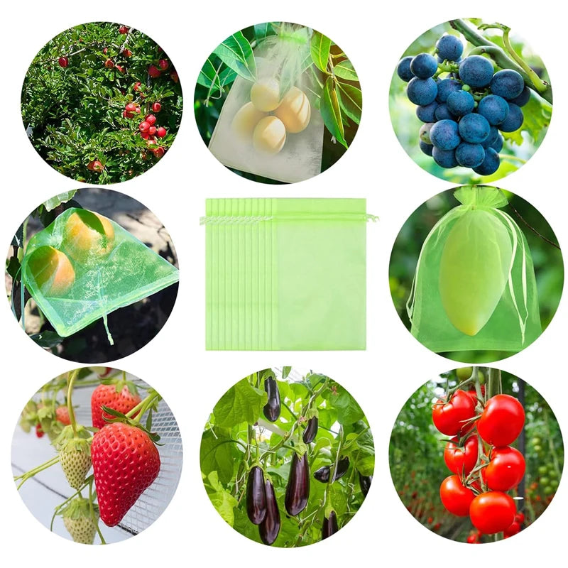 Fruit Protection Bags Birdproof Mesh For Strawberry And Grape Plants