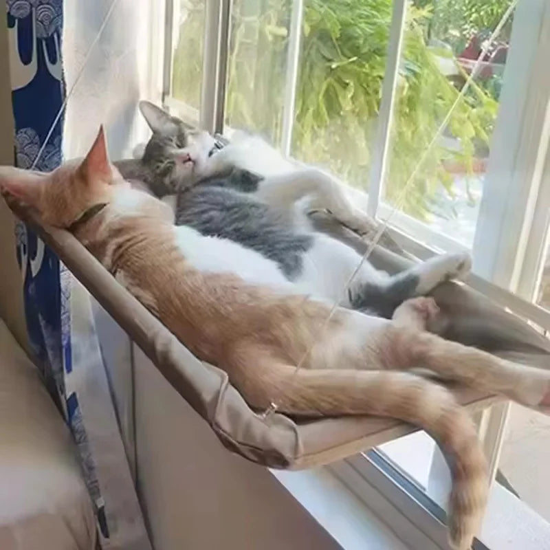 Ultra Soft Cat Window Hammock Bed Securely Mounted Perch