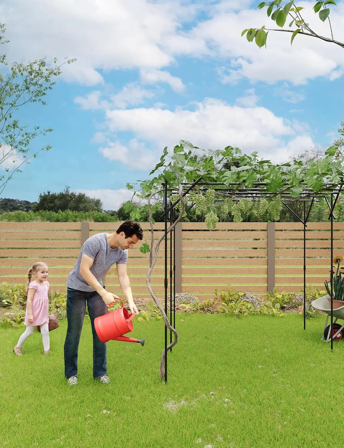 Metal Garden Trellis For Climbing Plants Arches And Pergolas