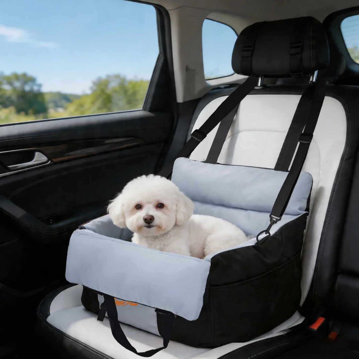 BINGOPAW Dog Car Seat Booster With Safety Belt Washable