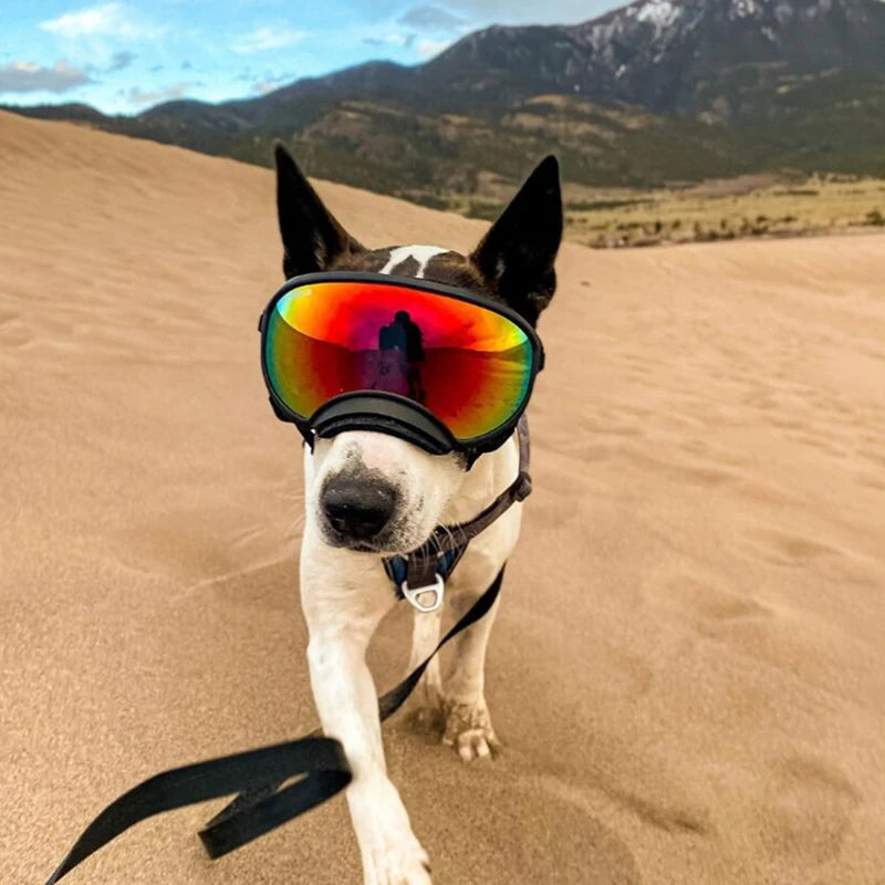 PETRAVEL Dog Goggles UV Protection Adjustable Windproof Eyewear