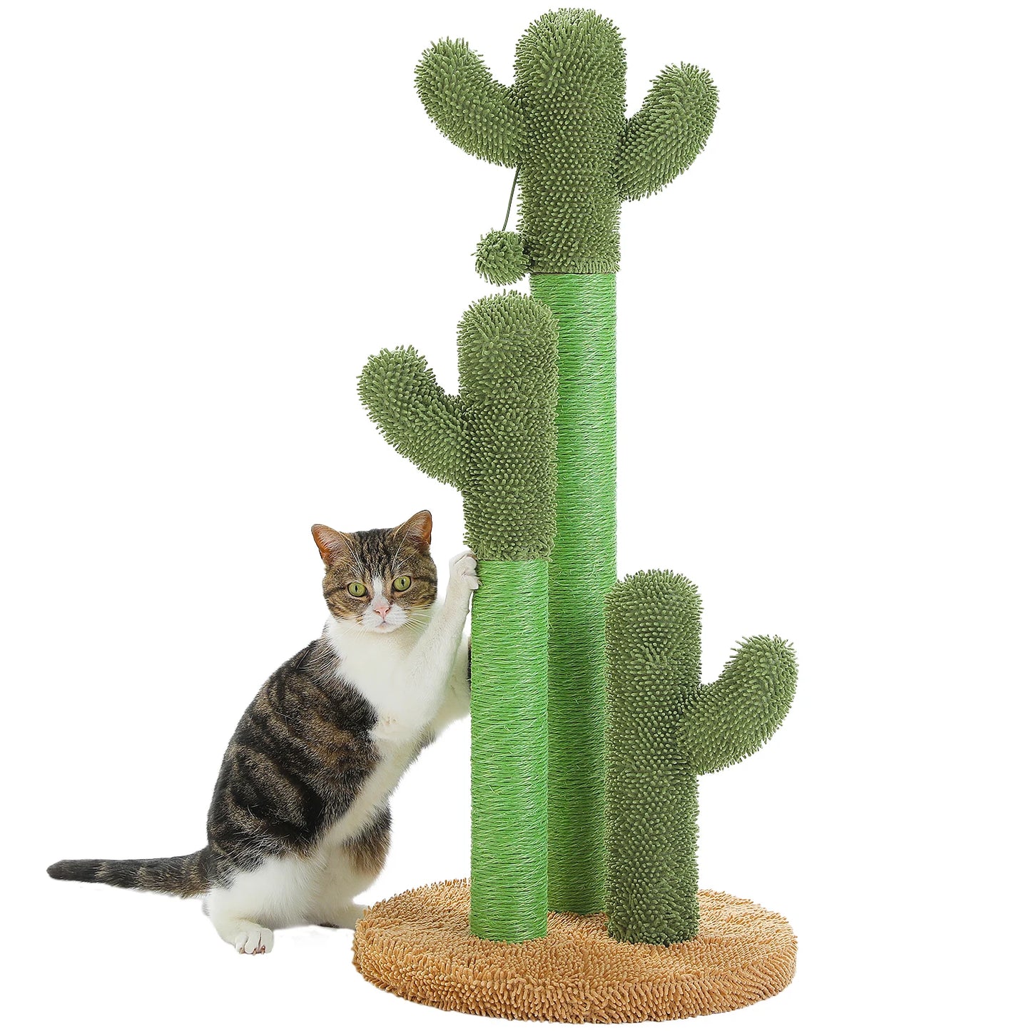 Pequlti Cactus Cat Tree With Condo And Hammock Indoor Play
