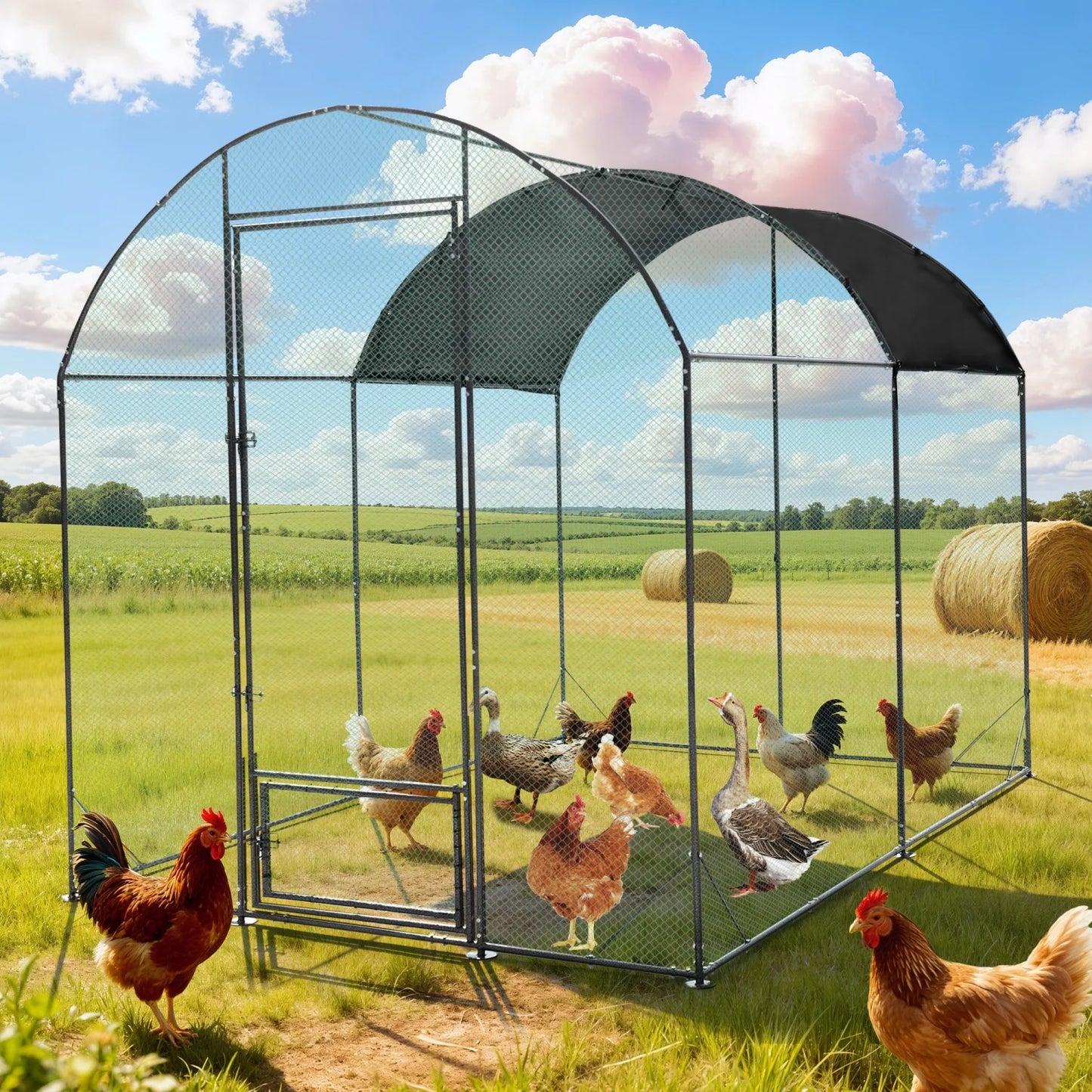 BINGOPAW Metal Walk In Chicken Coop With Nylon Netting