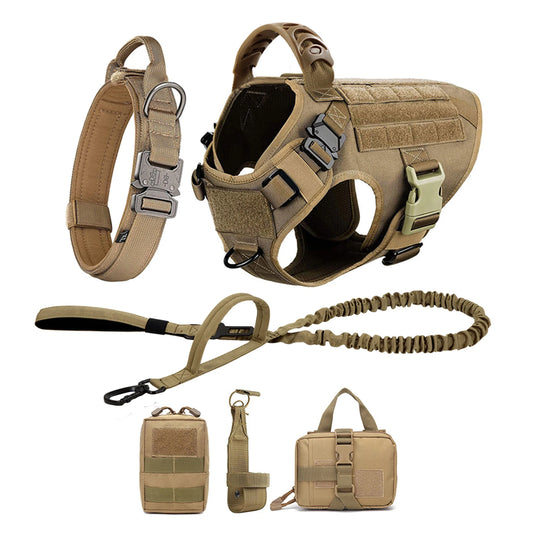 Dog Harness And Leash Set For Training And Walking