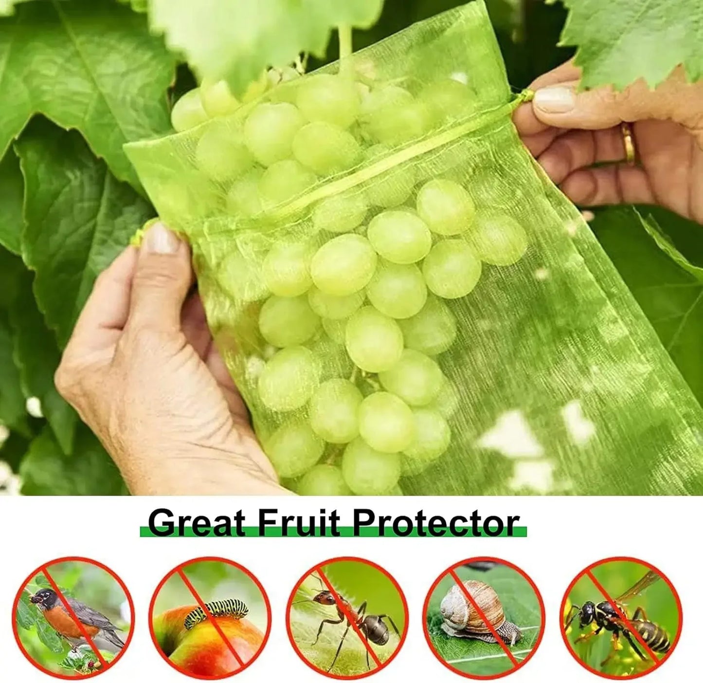 Fruit Protection Bags Birdproof Mesh For Strawberry And Grape Plants
