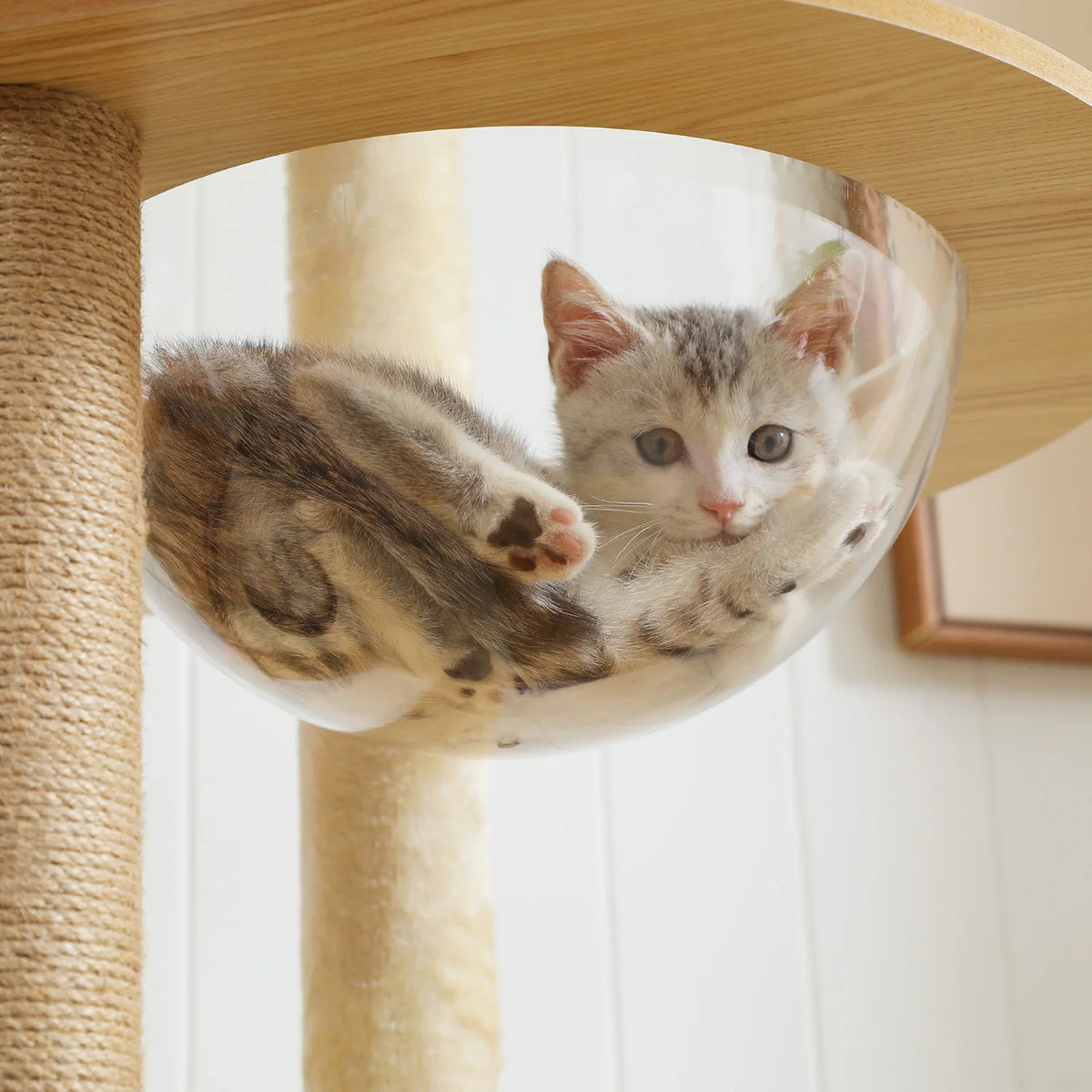 PAWZ Ro Multilevel Cat Tree With Scratching Posts And Hammock
