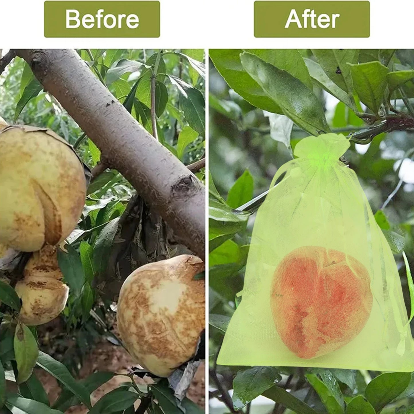 Fruit Protection Bags Birdproof Mesh For Strawberry And Grape Plants