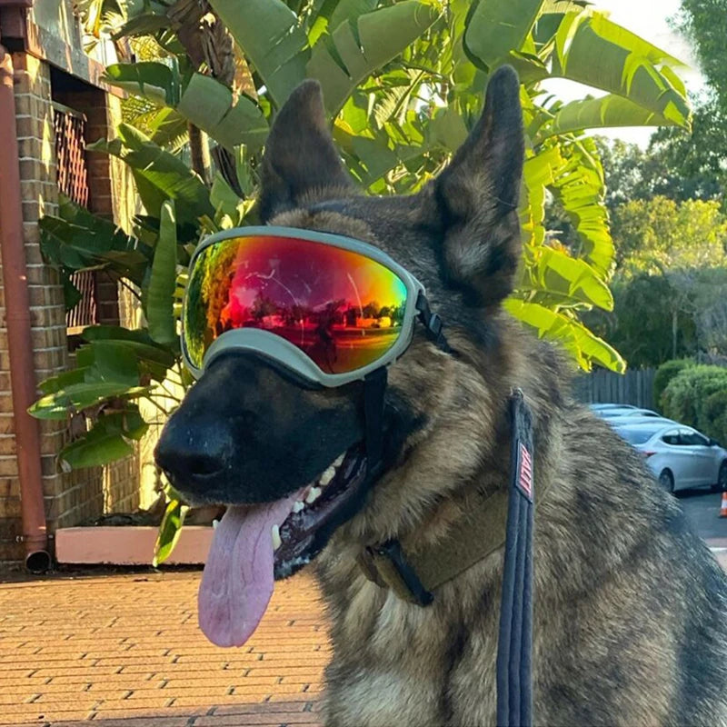 PETRAVEL Dog Goggles UV Protection Adjustable Windproof Eyewear