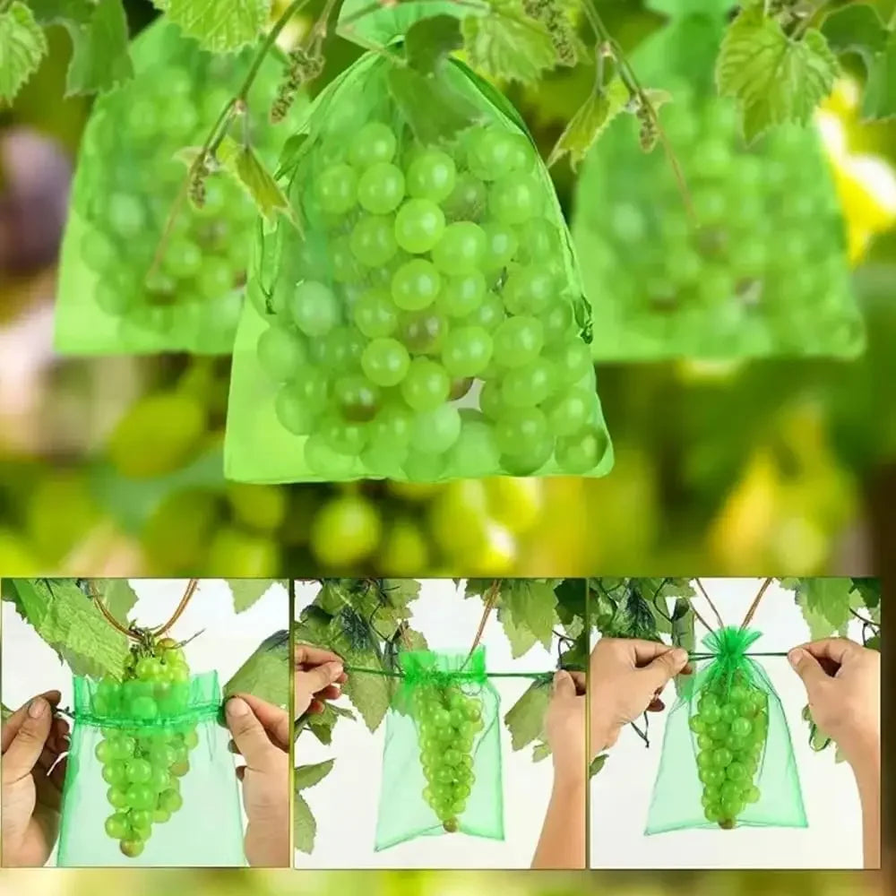 Fruit Protection Bags Birdproof Mesh For Strawberry And Grape Plants