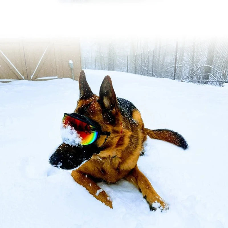 PETRAVEL Dog Goggles UV Protection Adjustable Windproof Eyewear