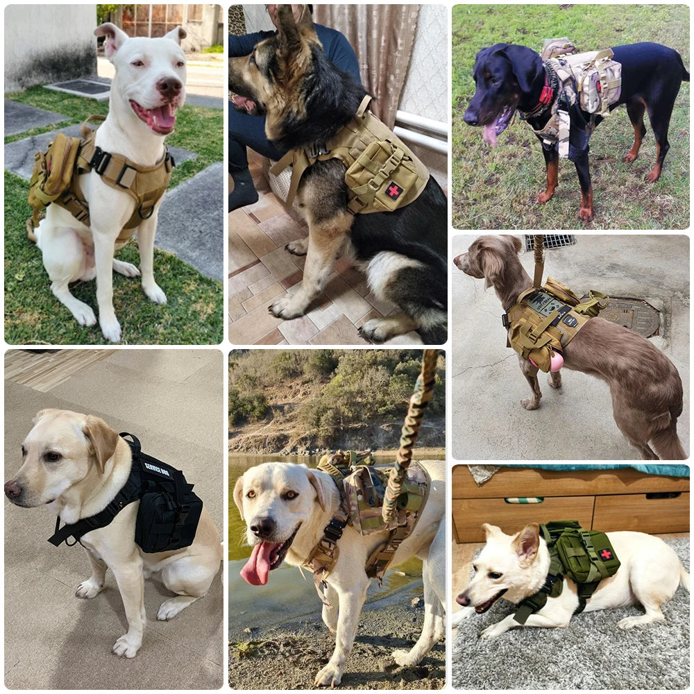 Padded Tactical Dog Harness And Leash Set For Large Dogs