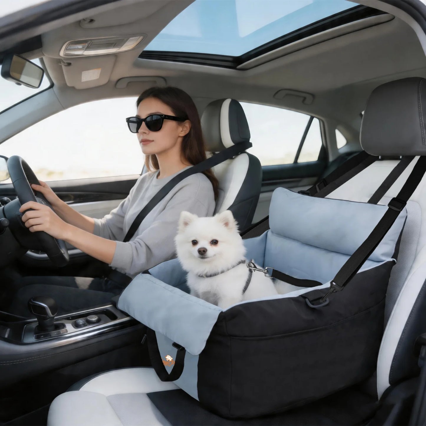BINGOPAW Dog Car Seat Booster With Safety Belt Washable