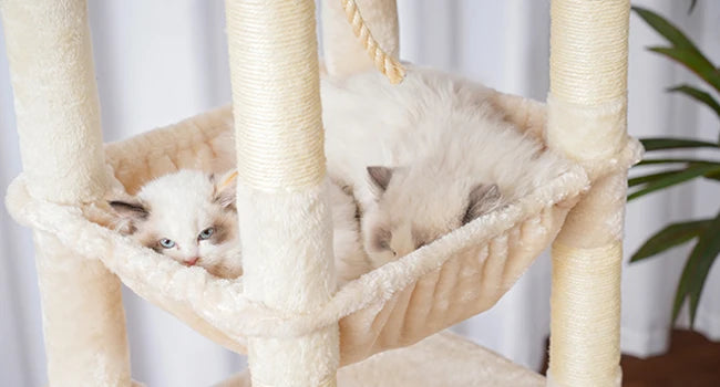 Cat Tree Indoor Multi Level Plush Condo For Indoor Cats